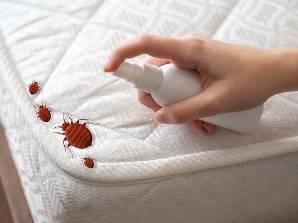 Best Commercial Pest Control Services  in South Amboy, NJ
